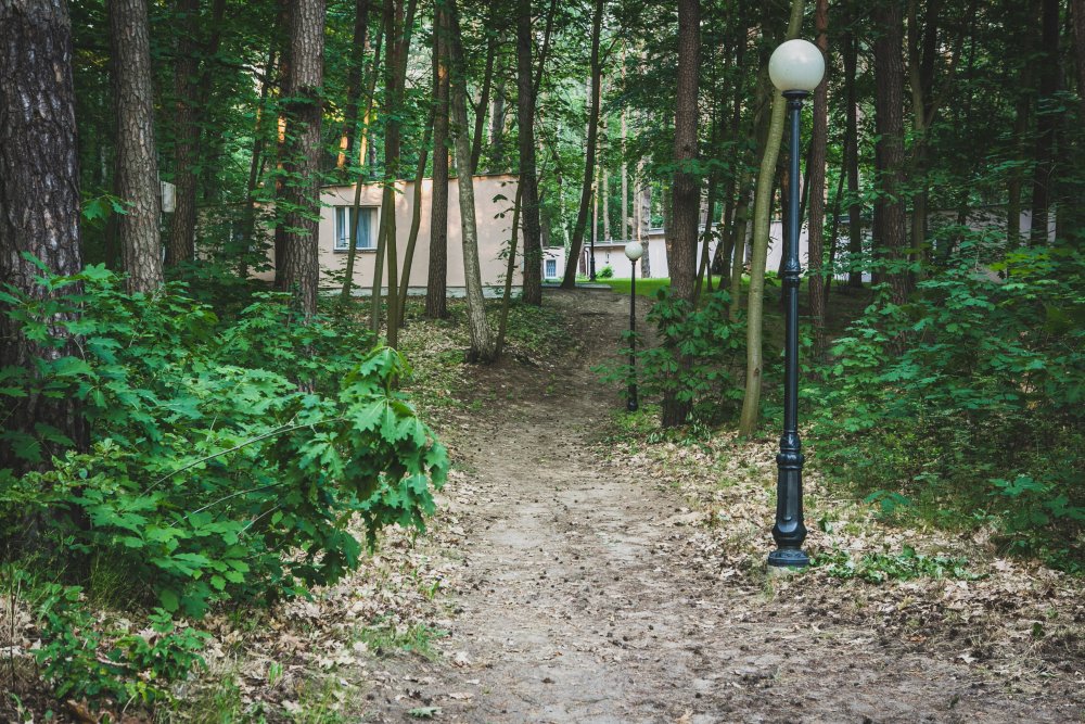 Magic Camping #3