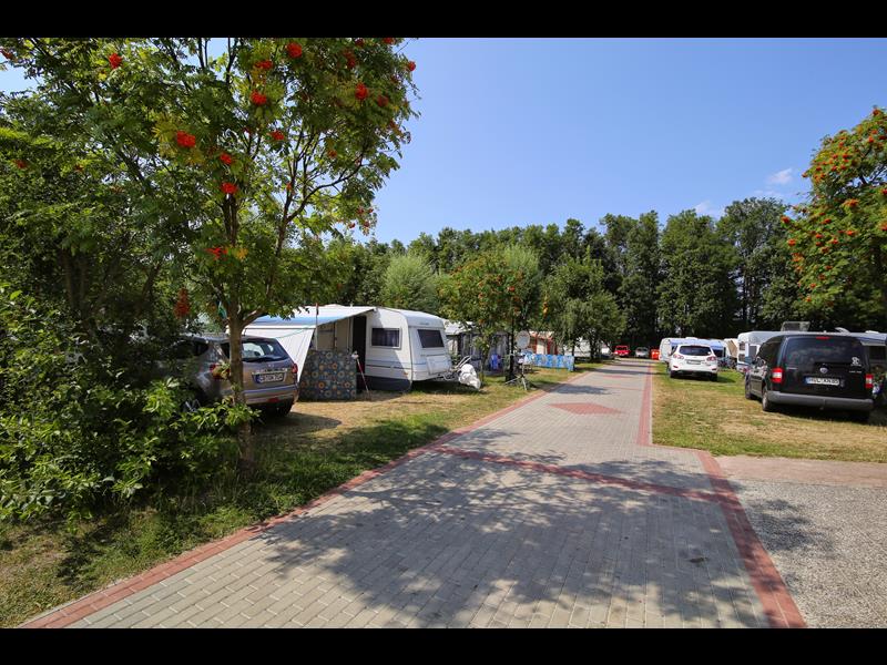 Camping Klif #3