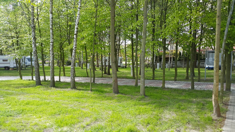 Camping Pod Brzozami #5