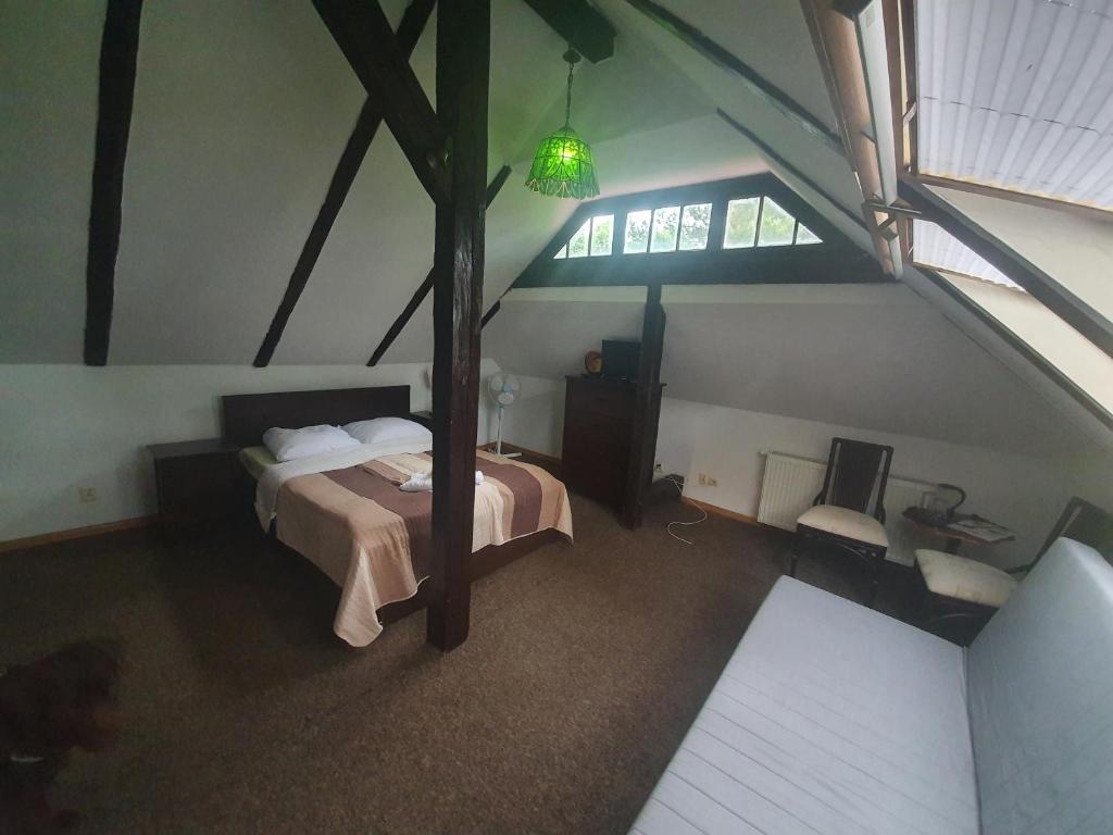 Hotel Willa Alfa #5