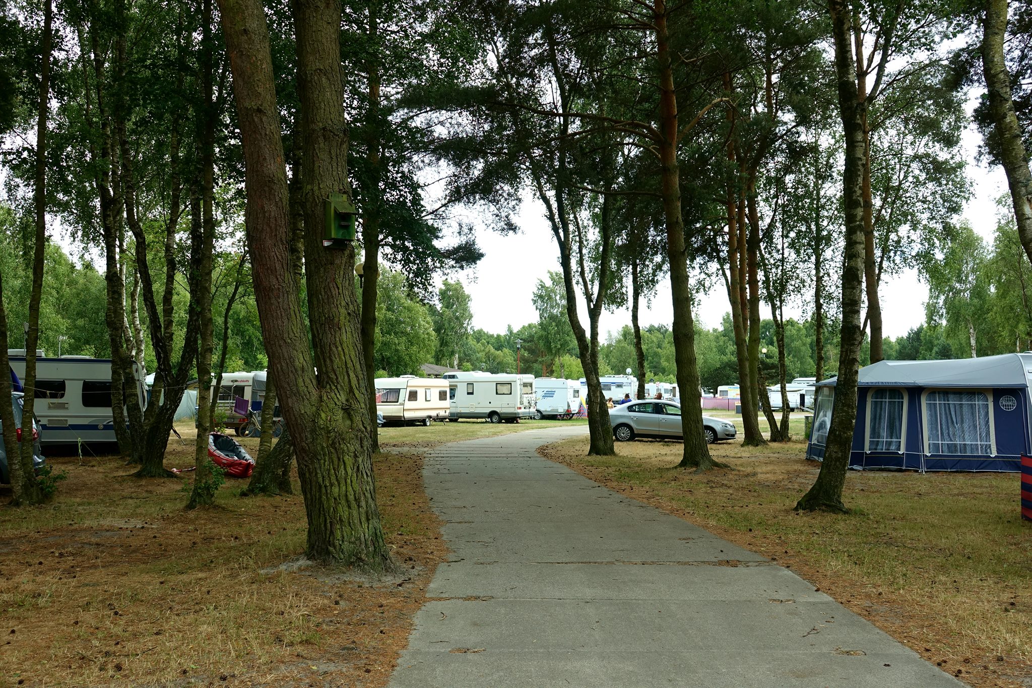 Camping 88 Biała Mewa #4