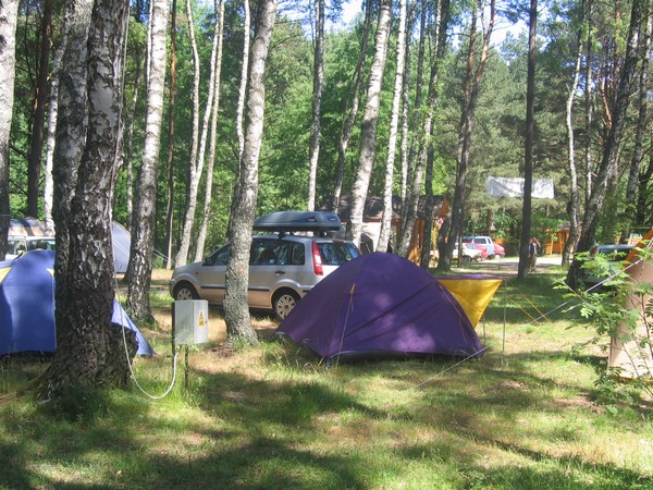 Pole Namiotowe 