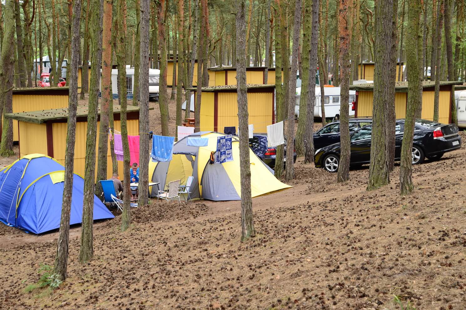Camping Stogi #2
