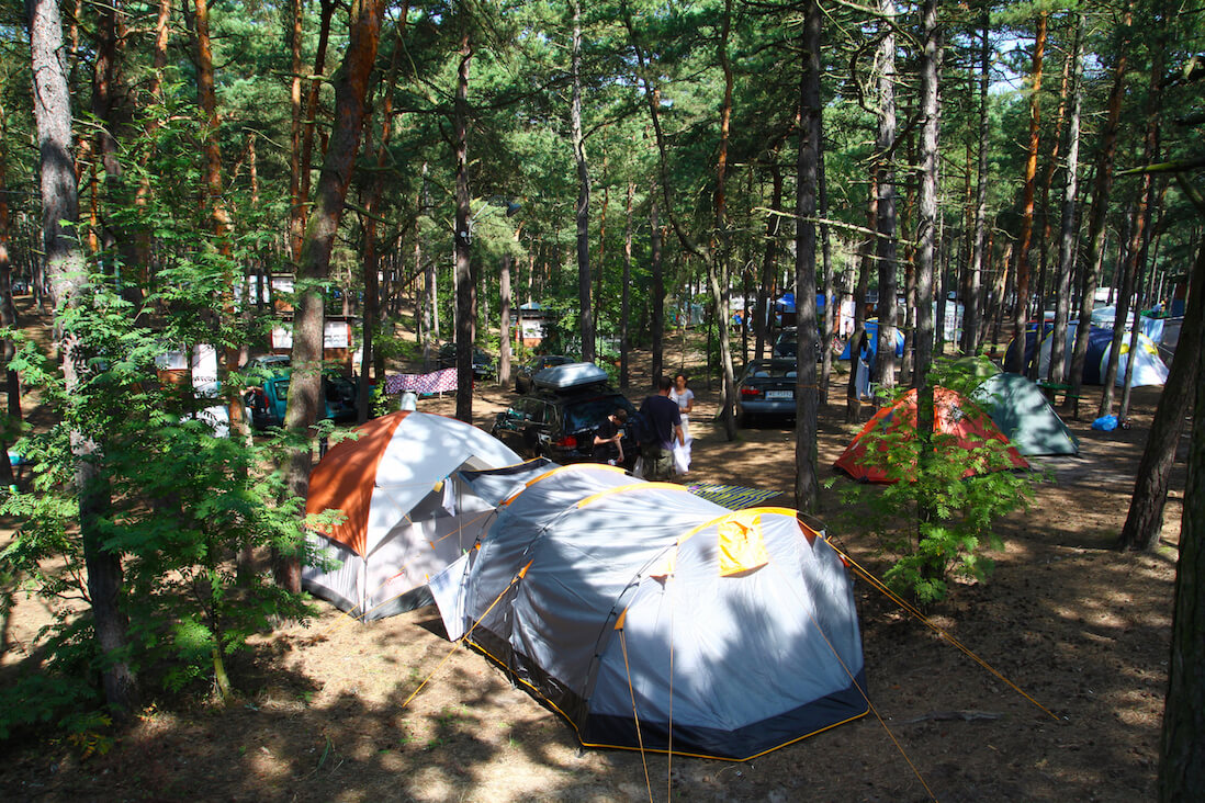 Camping Stogi #6