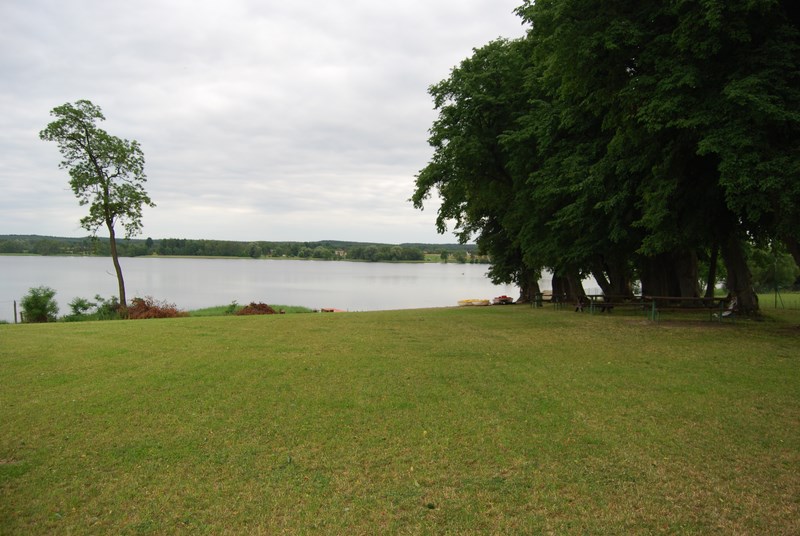 Pole Namiotowe Pod lipami #2