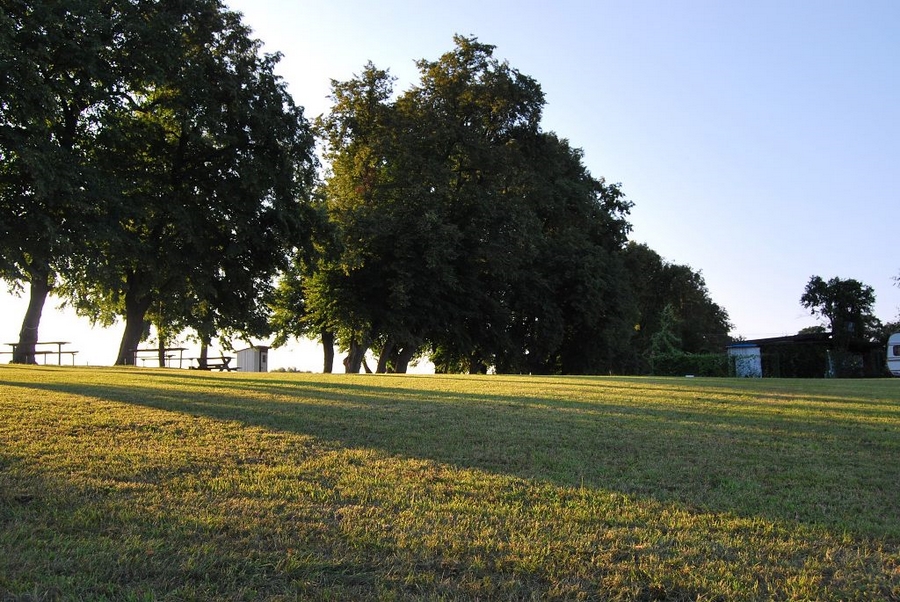 Pole Namiotowe Pod lipami #3