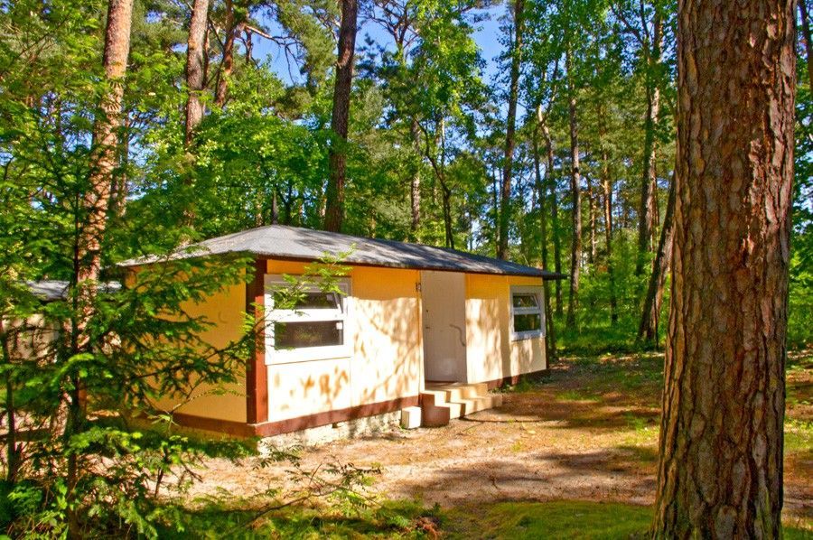 Pole Namiotowe Sosnowa Jurata #2