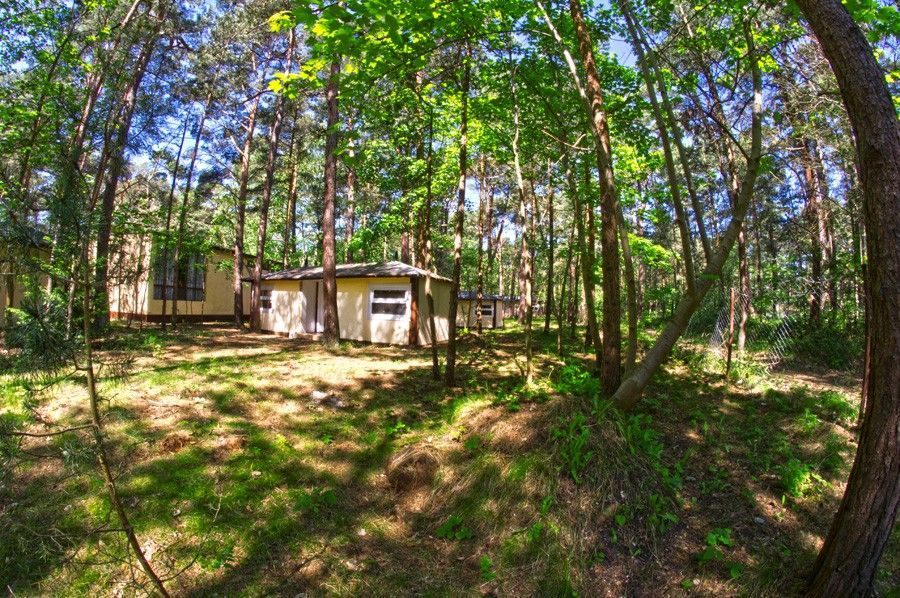 Pole Namiotowe Sosnowa Jurata #3