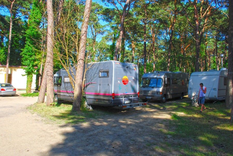 Pole Namiotowe Sosnowa Jurata #4