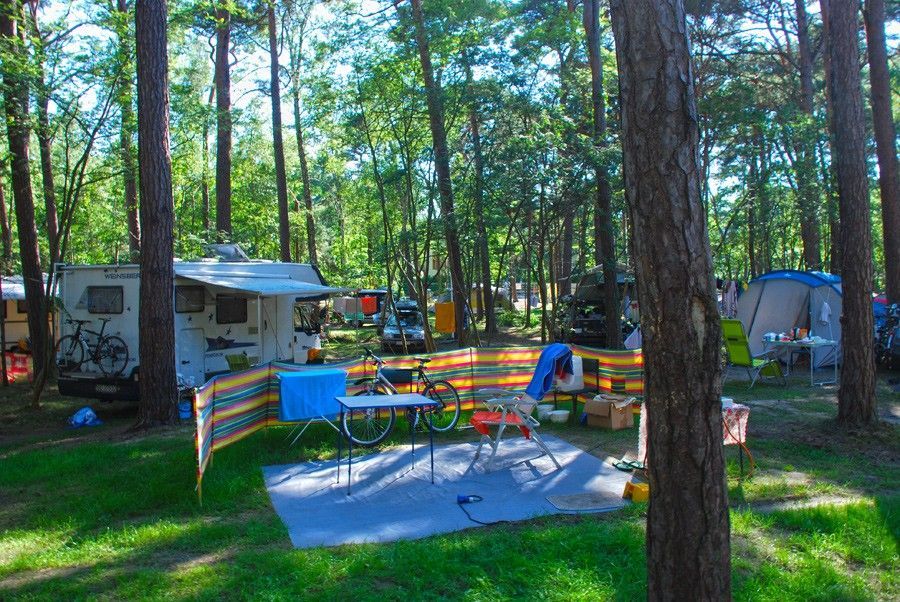 Pole Namiotowe Sosnowa Jurata #5